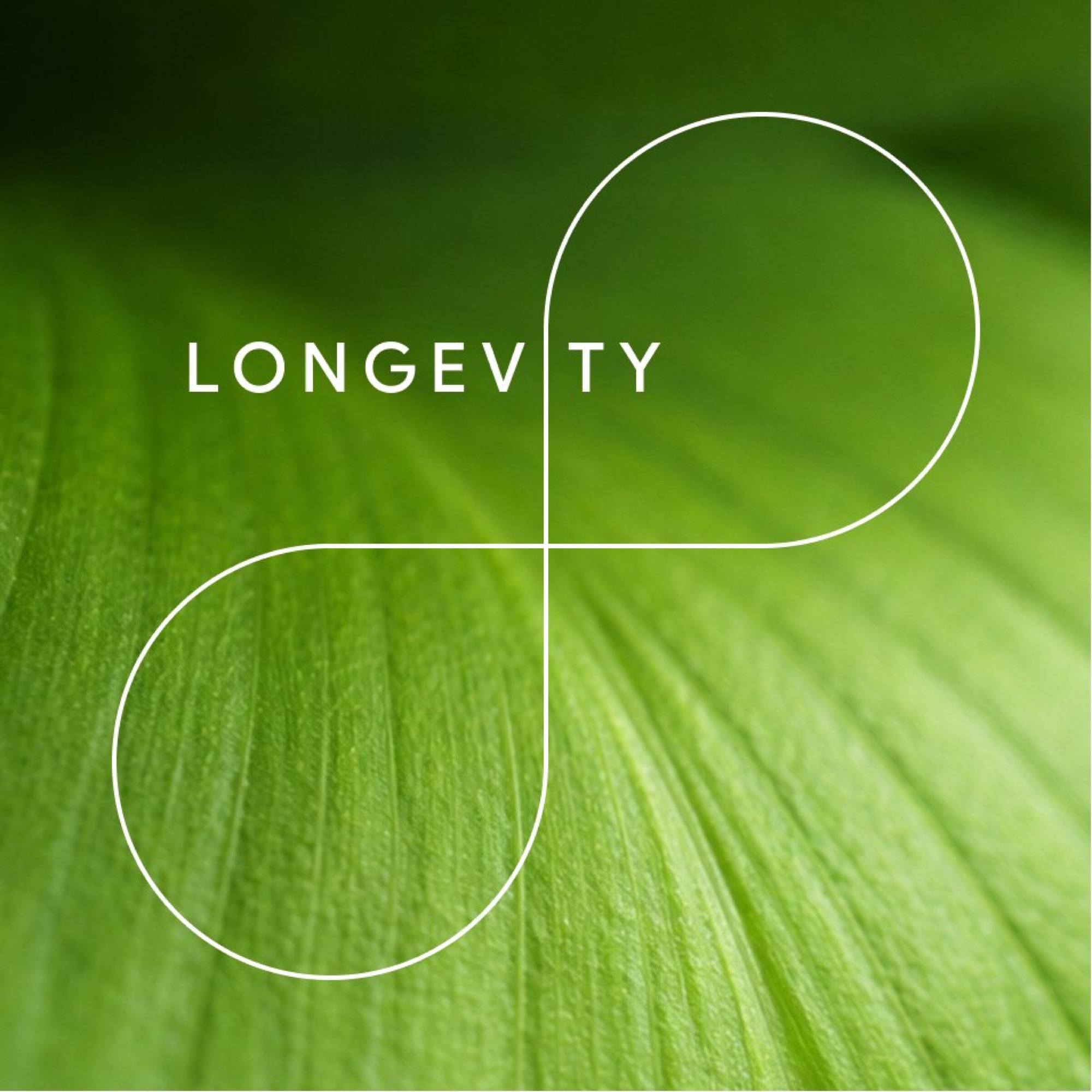 Mindvalley case study, image 15