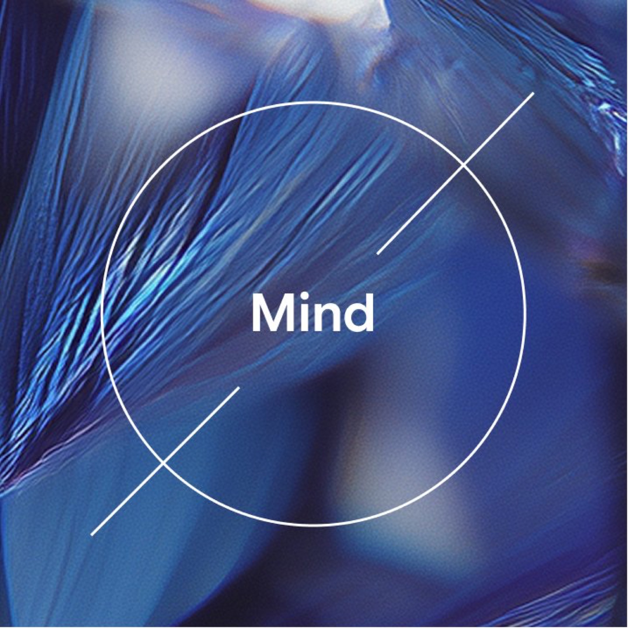 Mindvalley case study, image 24