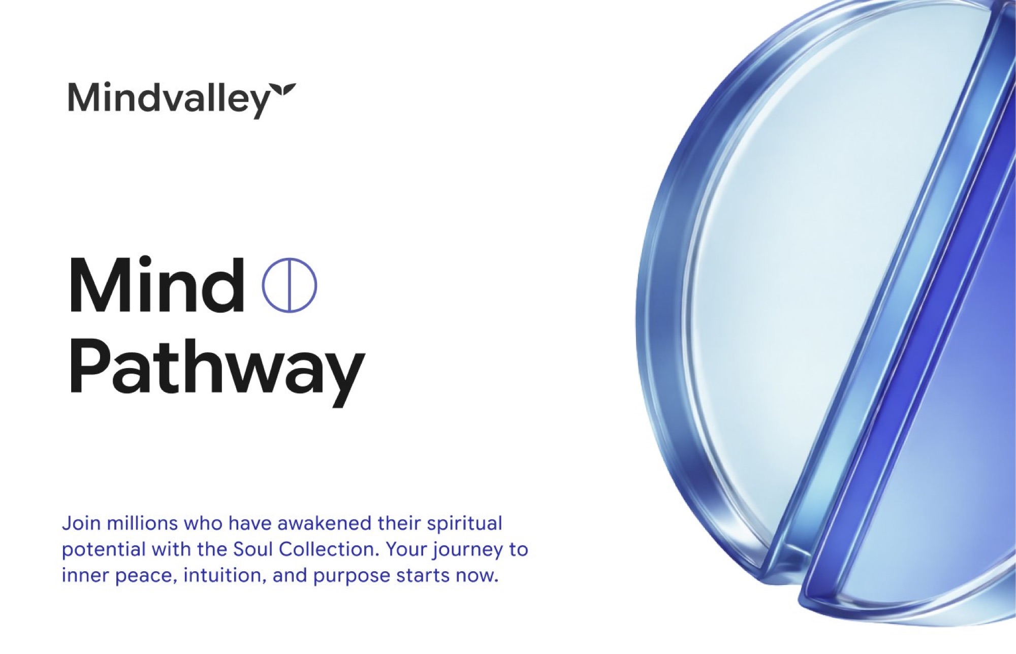Mindvalley case study, image 25