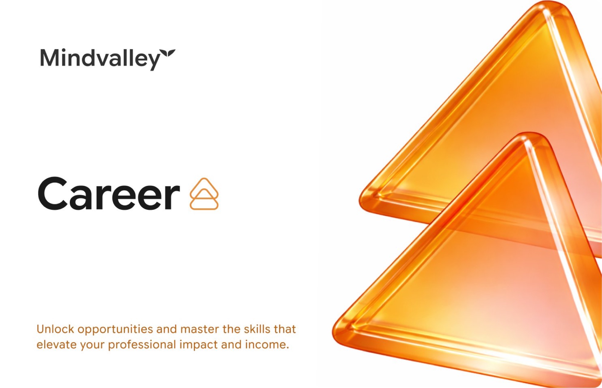 Mindvalley case study, image 33